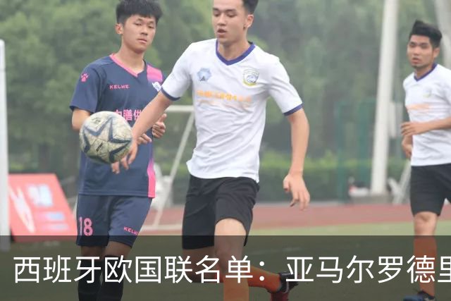 西班牙欧国联名单：亚马尔罗德里领衔 加维落选